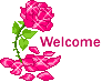 Rose Welcome